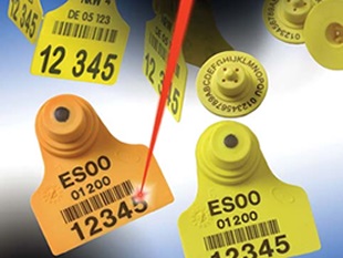 塑料制品中隨處可見的激光打標(biāo)、打碼加工解決方案